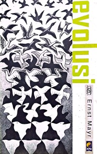 Evolusi